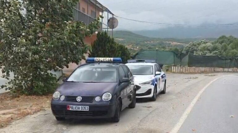 Policic