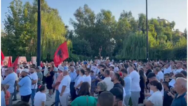 Protesta Dimal1