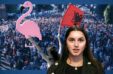 Protesta Per Flamingot