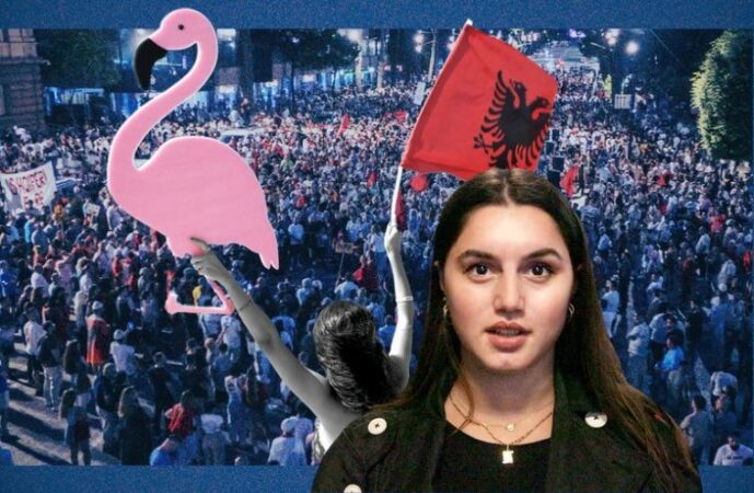 Protesta Per Flamingot