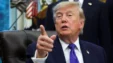 Trump Donald Mk