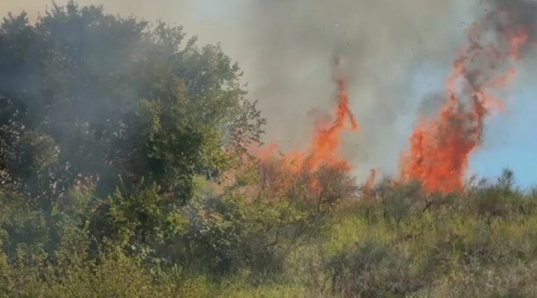 Mallakastër/ I vuri zjarrin mbeturinave në tokën e tij, 76-vjeçari ndërron jetë gjatë përpjekjes për të shuar flakët