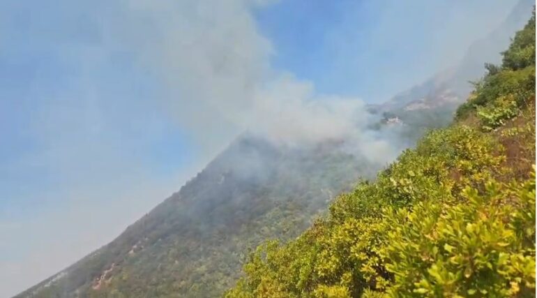 Bie zjarr në Zall Herr, ankohen banorët: Askush s’po vjen për ta fikur