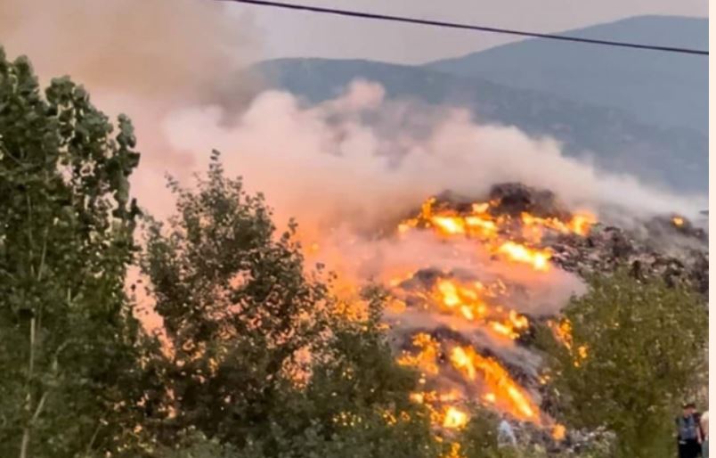VIDEO  Zjarr në kodrat e fshatit Vllahinë  digjen ullinjtë