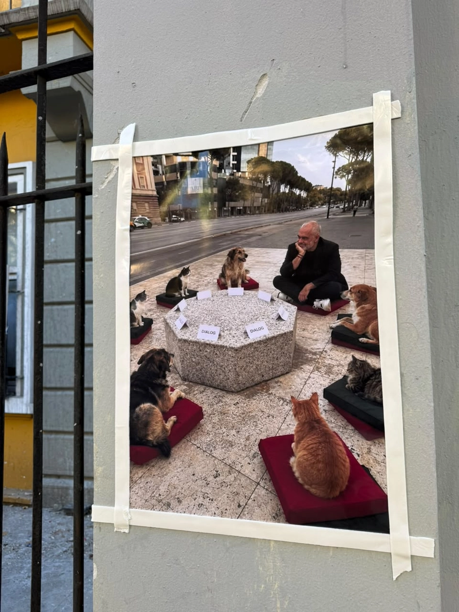 foto galeri 