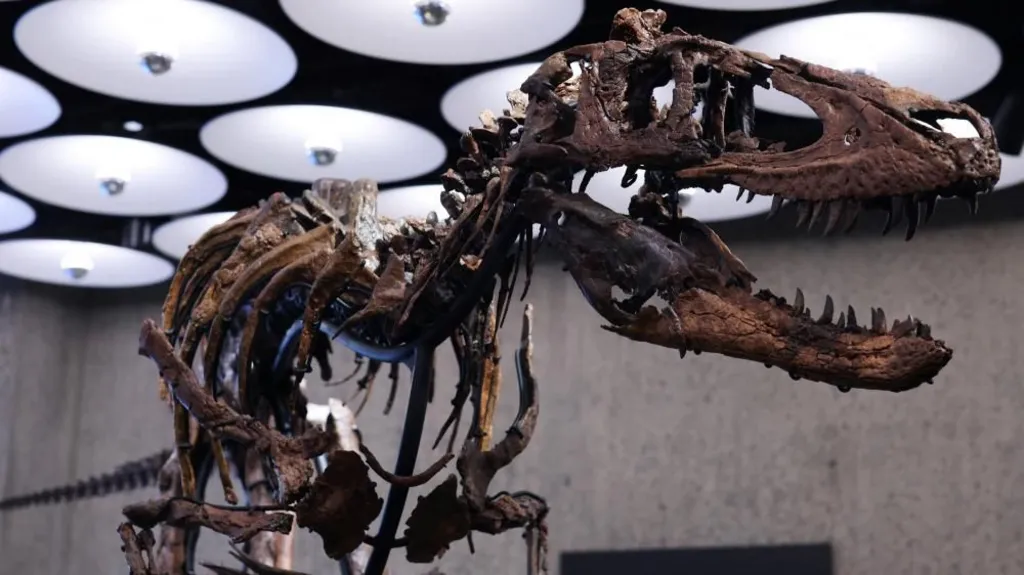 Skeleti i nanotiranit del në ankand për 9 milionë dollarë