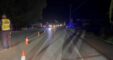 Bulgarec1