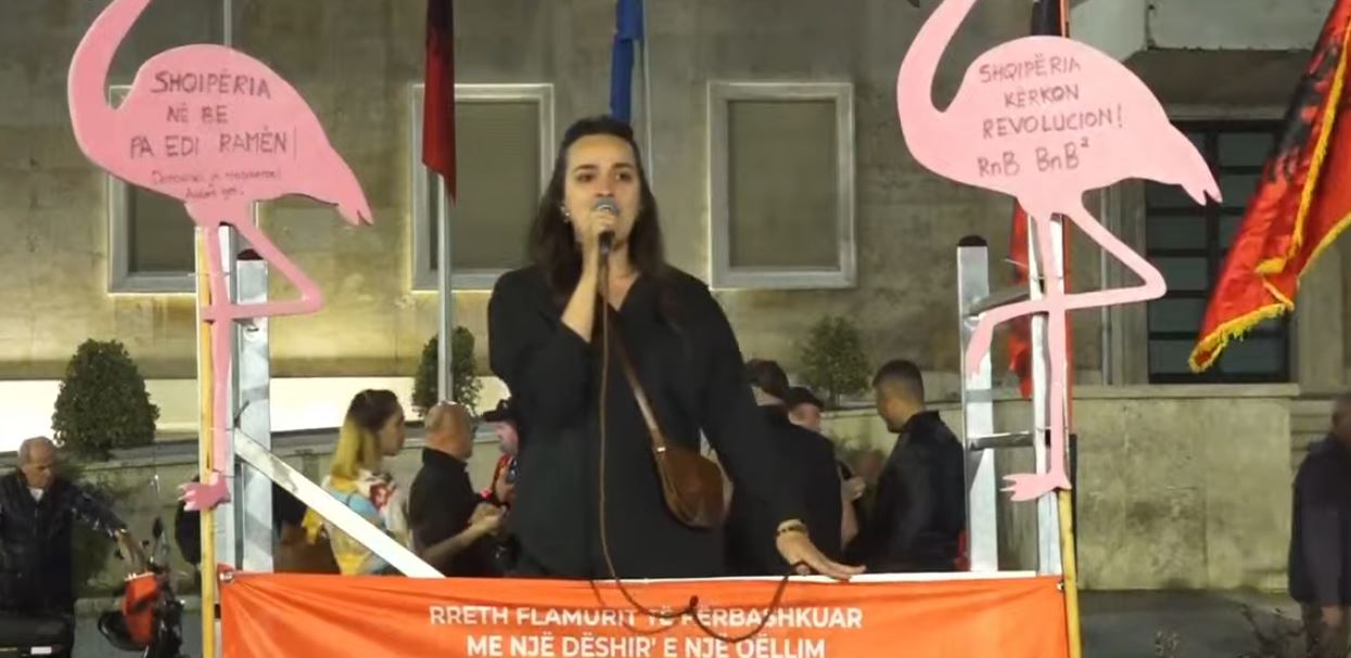  Krimi i organizuar në pushtet   aktivistja Vatnikaj  Rama nuk sjell parimet europiane  por qeverisjen e 313 tës