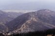 Algeria Burn Forest