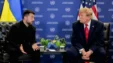 Maketa Trump Zelensky