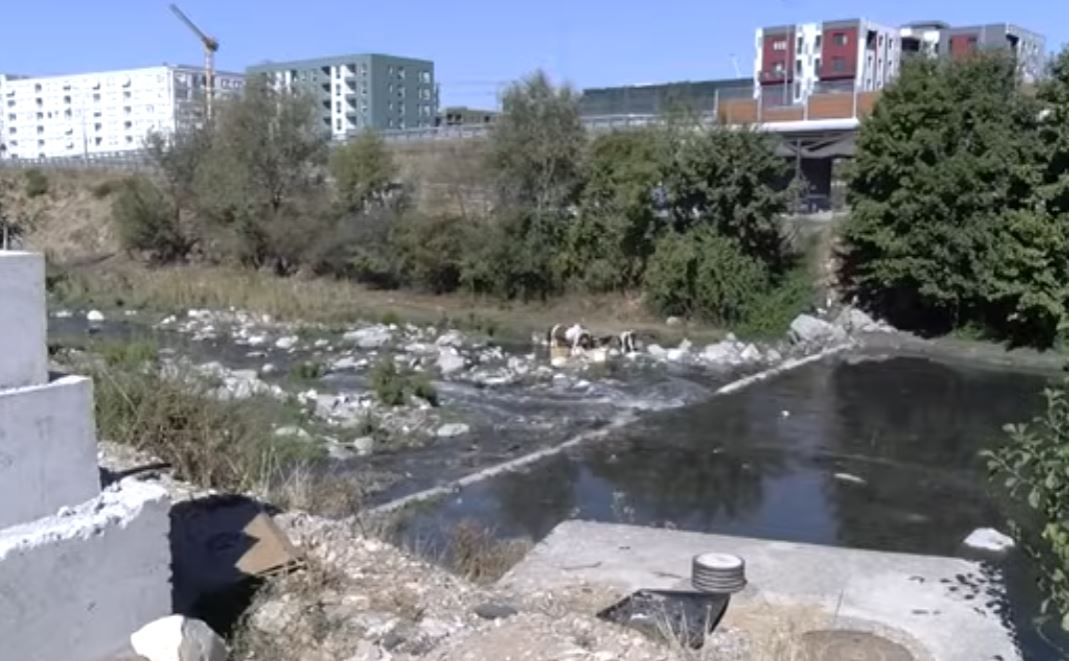 Lumi i Tiranës rrezik serioz për shëndetin e banorëve  zona pranë urës në Paskuqan e tejmbushur nga mbetjet