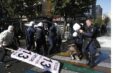 Protesta Tirane1