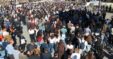Protesta E Pedagogeve Te Kryeministria