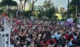 Protesta Flamingo2