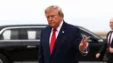 Trump Xrm