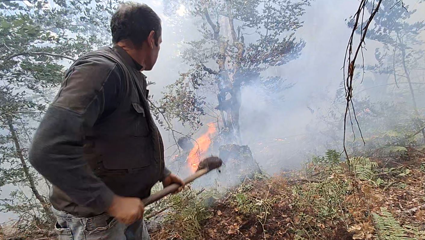 Riaktivizohet zjarri në masivin me pisha në Gjinar të Elbasanit
